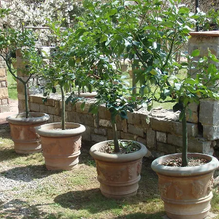 La Chiocciola Villa